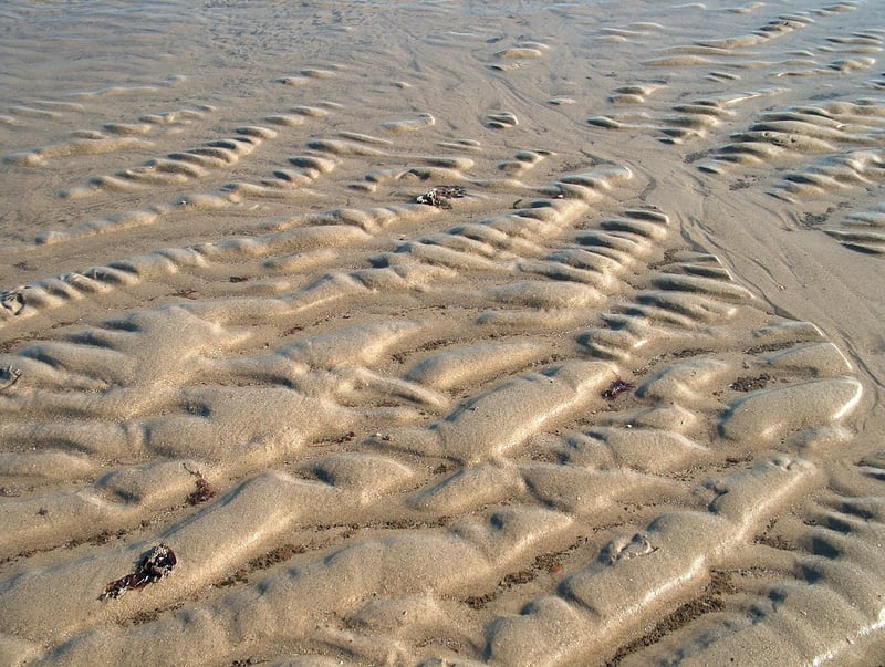 Fabric Scrap Coasters